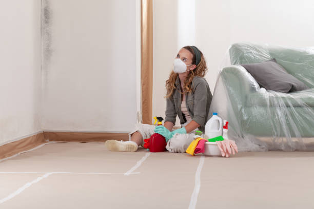 Reliable Mold Remediation contractor in Westwood, PA by WQB Mold Removal